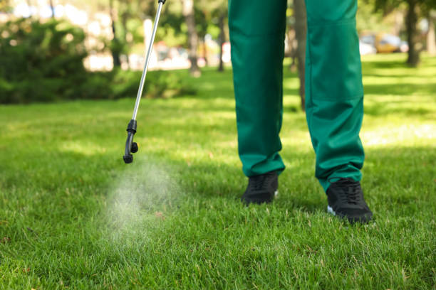 Best Flea Control Services  in Livingston, TX