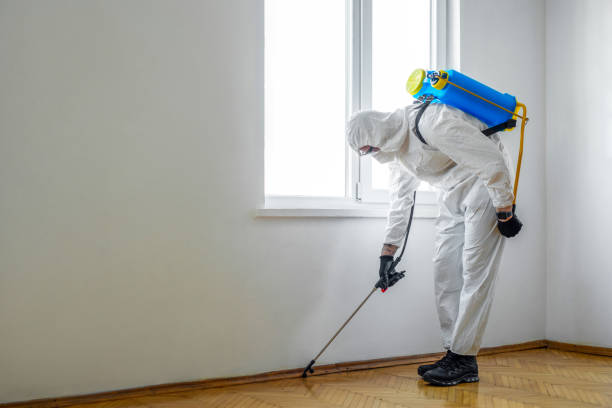 Best Rat Extermination Near Me  in Livingston, TX