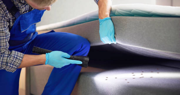 Best Exterminator Services  in Livingston, TX